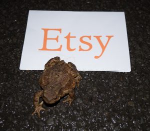 Etsy Toad 012 small